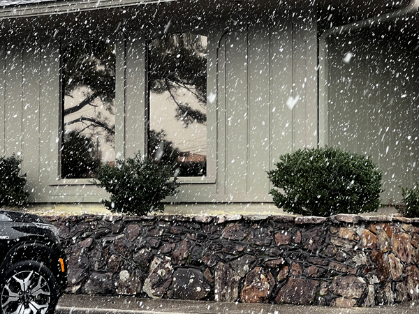 snowflakes