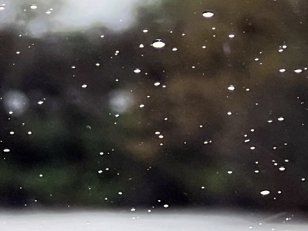 snowflakes