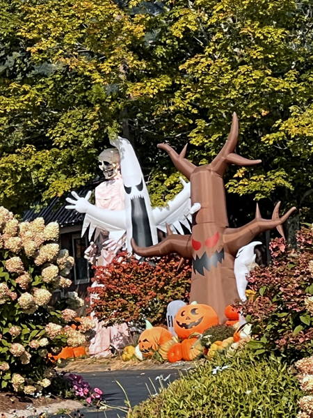 Halloween decor