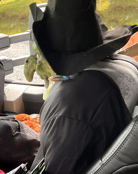 a scary witch