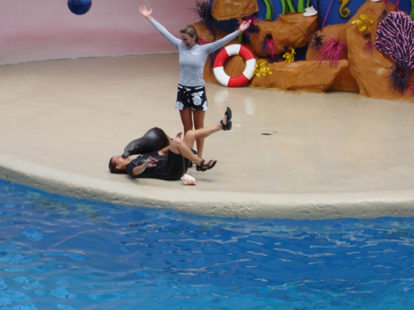 The seal show