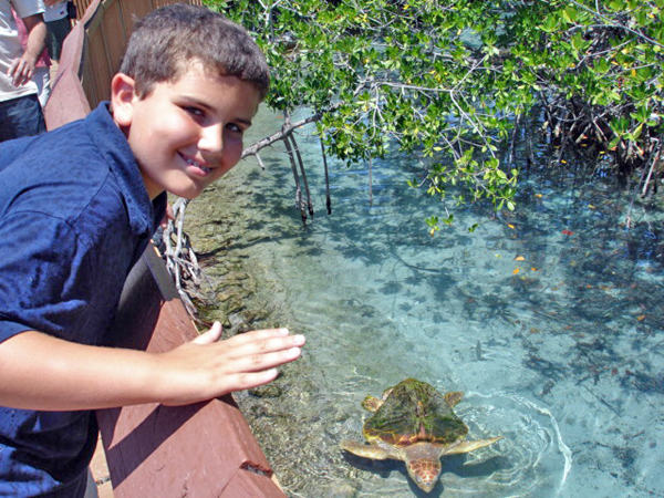 Alex Jones and a turtle