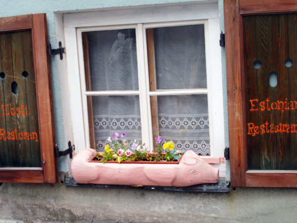 flower pot in a restaurant window