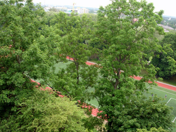 Tallinn overview