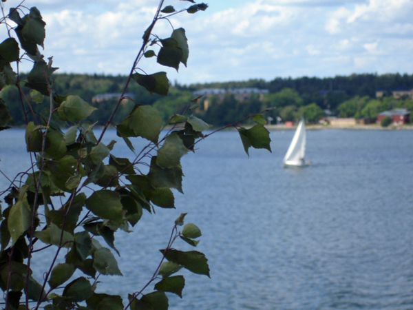 View of Tallin from the ship