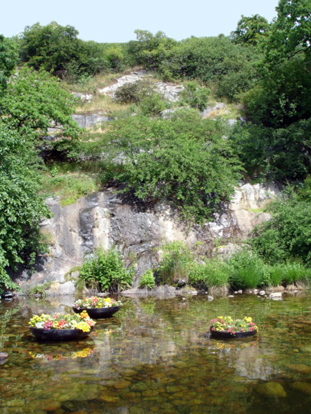 floating flower pots