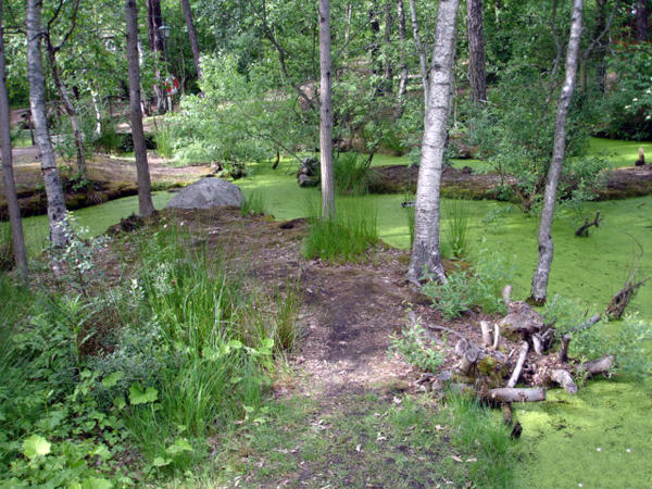 scenery in Skansen