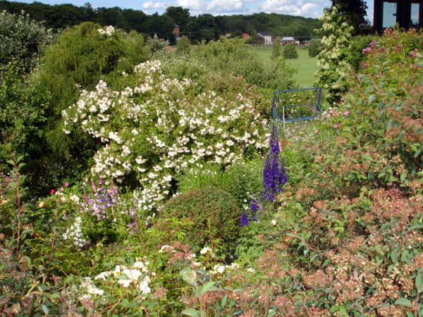 the gardens