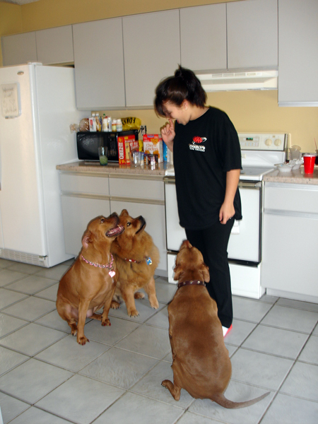 Kristen, China, Dakota and Pebble