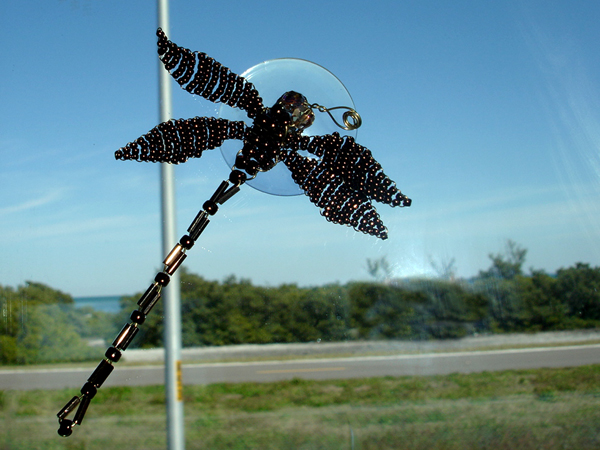 dragonfly on the RV Window