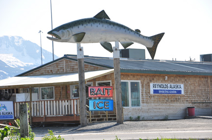 a giant salmon at the store