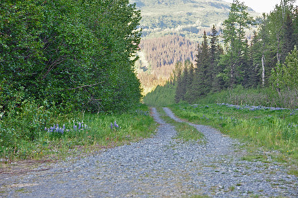 the road out of HEIDEN CANYON