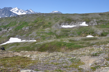 the trail at Thompson Pass