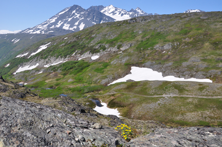 Thompson Pass