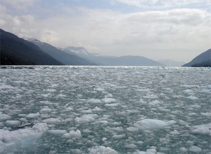 ICE FIELDS THE BOAT HAD TO MANEUVER THROUGH