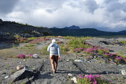 Lee walking the trail through the beautiful wildflowers