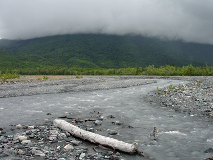 another part of the river