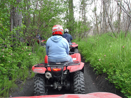 driving through a narrow path