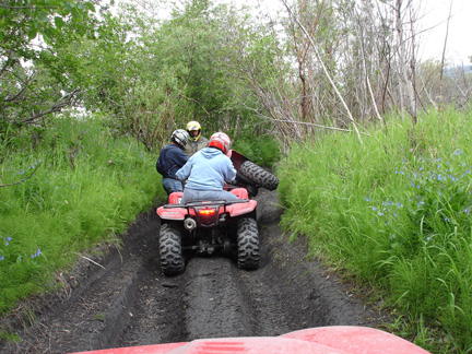 One of the ATV's tipped over.