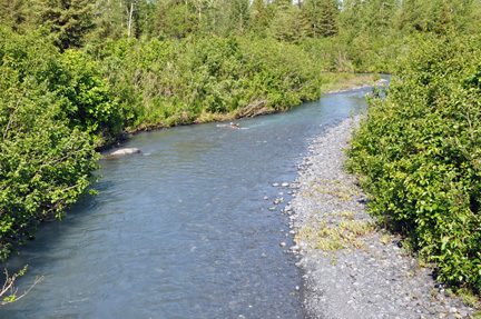 a small stream