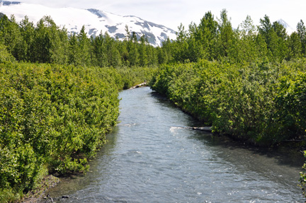 a small stream