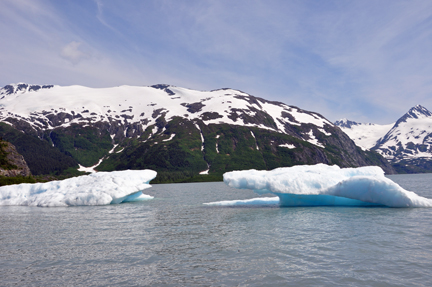 icebergs