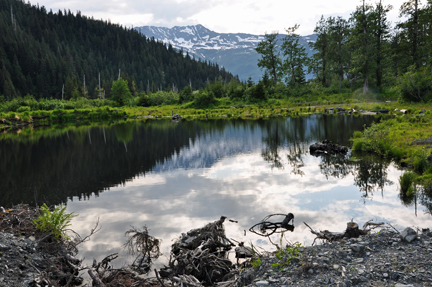 a pond just off the trail