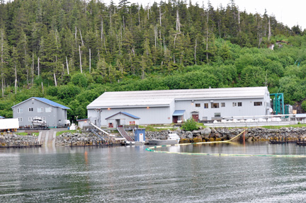 the fishing fleet