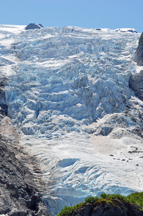 Bear Glacier 