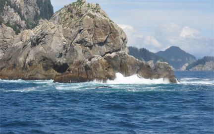 waves breaking on the rocks