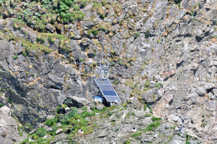 camera on the rocks constantly monitors the Steller Sea Lions