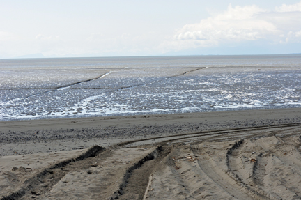 low tide