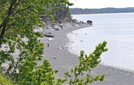 rocky beach