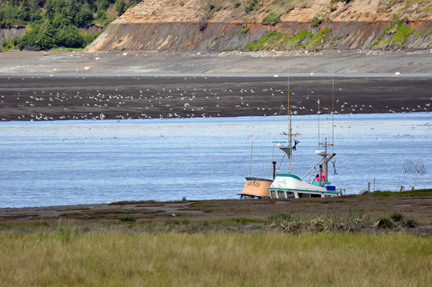 low tide