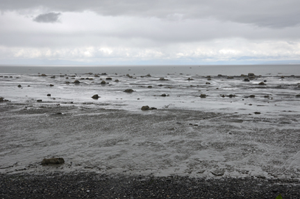 a very rocky beach at low tide