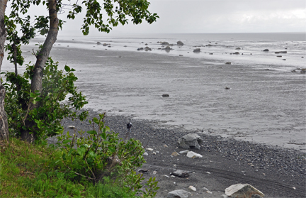 beach at low tide