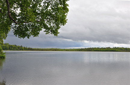 beautiful swimming area