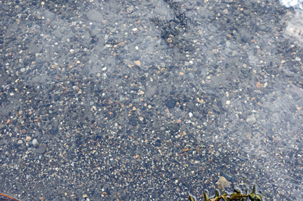 rocks under crystal clear water