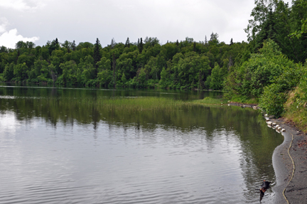 beautiful swimming area