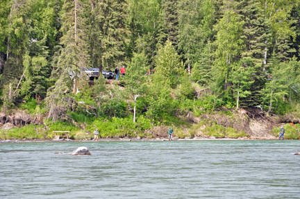 people fishing