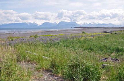 low tide