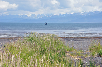 view at low tide from the RV of the two RV Gypsies