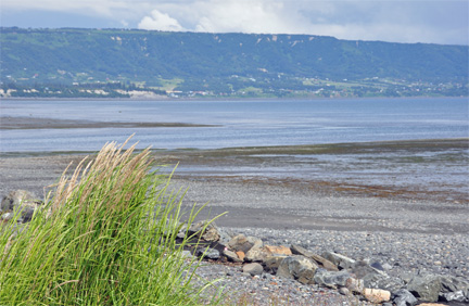 view at low tide from the RV of the two RV Gypsies