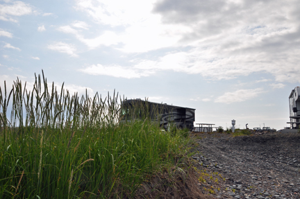 looking up at AWO from the beach