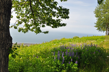 view of Homer Spit, Kachemak Bay and Cook Inlet