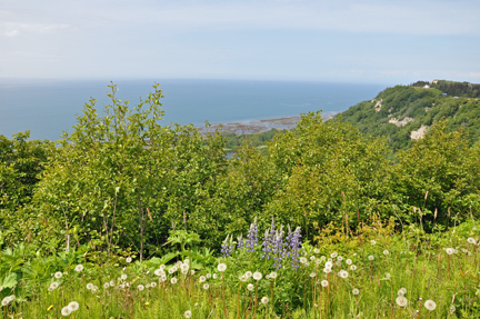 view of Homer Spit, Kachemak Bay and Cook Inlet