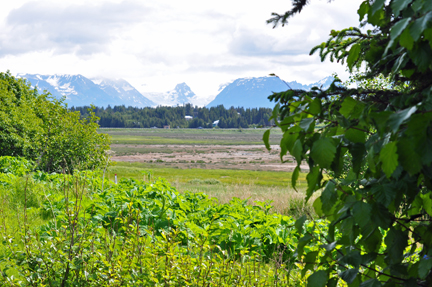 Behind the Wildlife Refuge Visitor Center