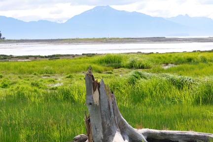 Behind the Wildlife Refuge Visitor Center