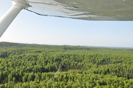 scenery taken out the closed window of the floatplane