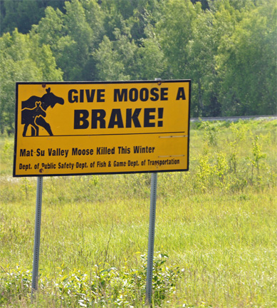 sign - give moose a brake